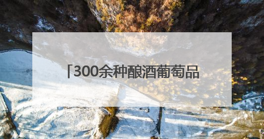 300余种酿酒葡萄品种相继落户贺兰山下