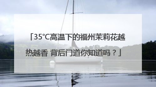 35℃高温下的福州茉莉花越热越香 背后门道你知道吗？
