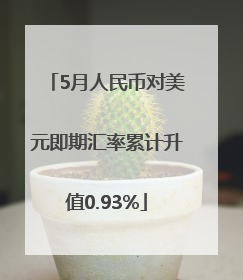 5月人民币对美元即期汇率累计升值0.93%
