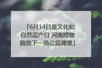 6月14日是文化和自然遗产日 河南博物院备下一场公益课堂