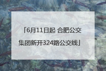 6月11日起 合肥公交集团新开324路公交线