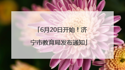 6月20日开始！济宁市教育局发布通知