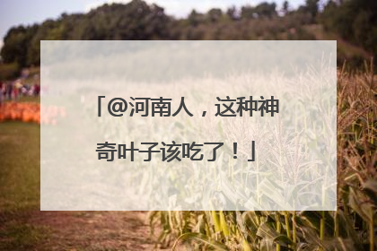 @河南人，这种神奇叶子该吃了！