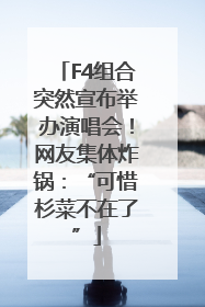 F4组合突然宣布举办演唱会！网友集体炸锅：“可惜杉菜不在了”
