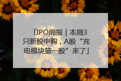 IPO周报｜本周3只新股申购，A股“充电模块第一股”来了