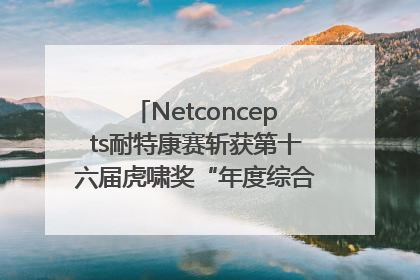 Netconcepts耐特康赛斩获第十六届虎啸奖“年度综合服务商”大奖